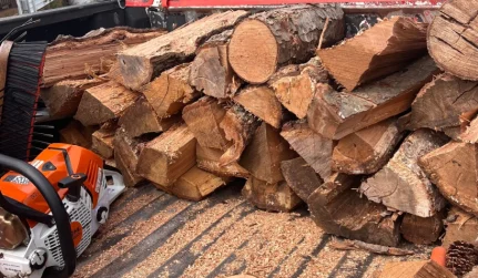 Firewood for Sale