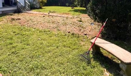 Leaf Removal Service