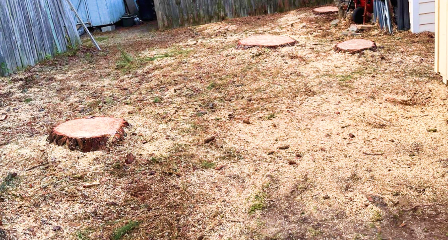 Stump Removal Services
