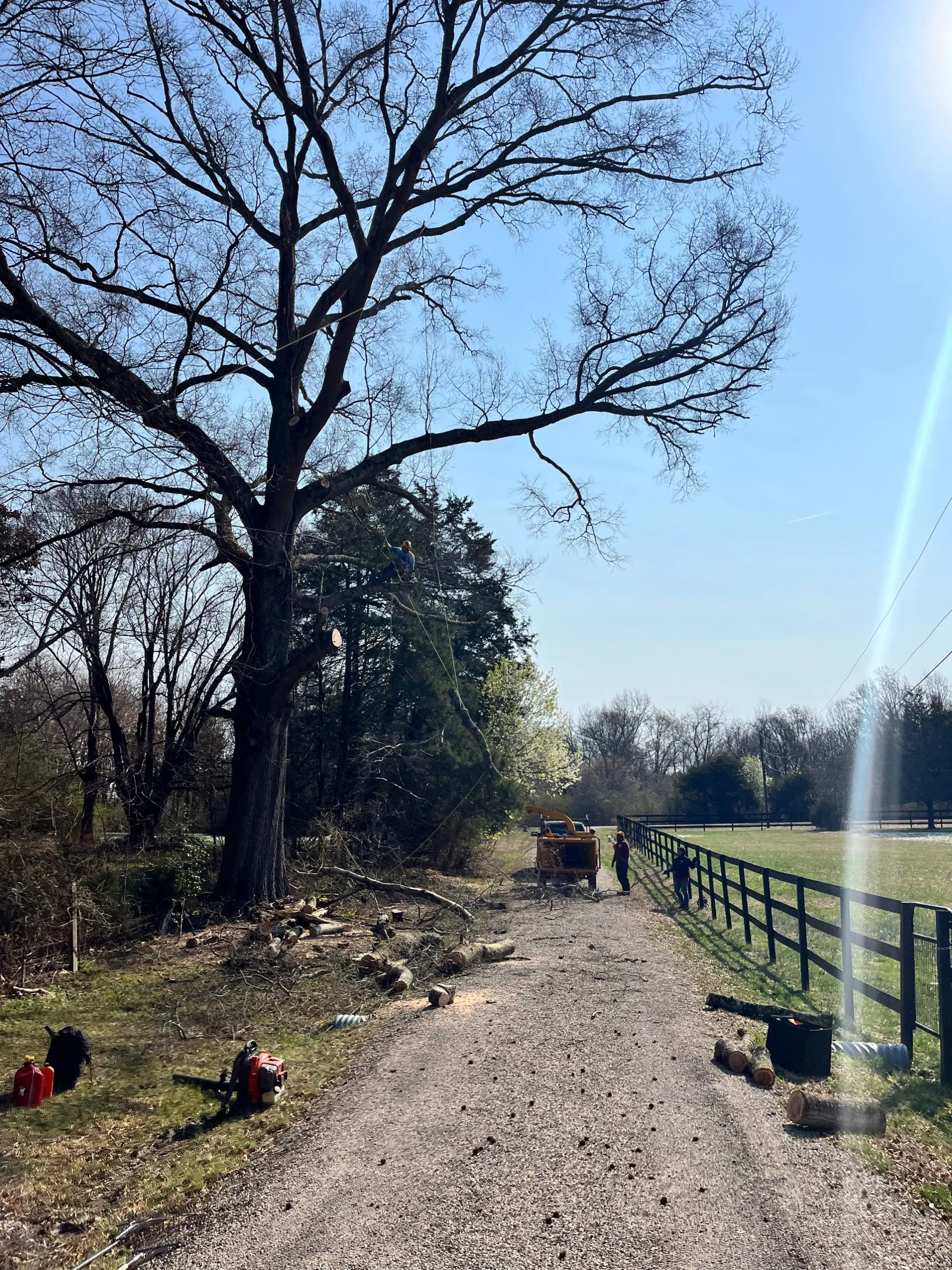 019ce956 c12f 7638 8b01 e52013b65da8 1